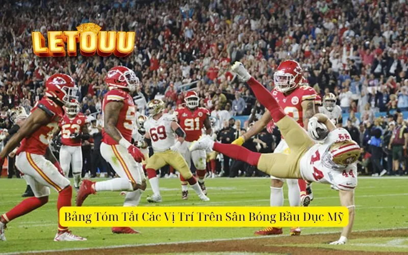 Bảng Tóm Tắt Các Vị Trí Trên Sân Bóng Bầu Dục Mỹ