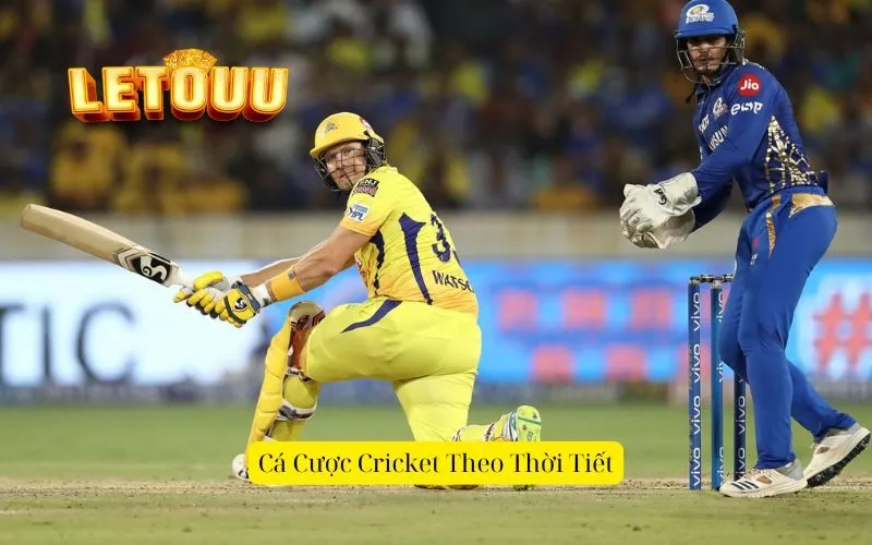 Cá Cược Cricket Theo Thời Tiết
