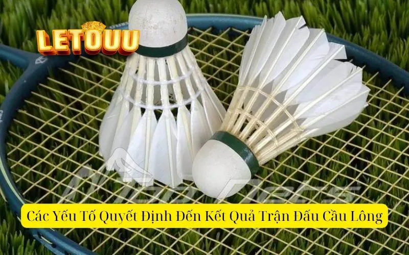 Các Yếu Tố Quyết Định Đến Kết Quả Trận Đấu Cầu Lông