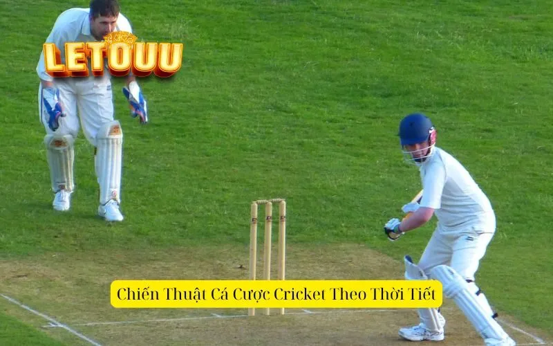 Chiến Thuật Cá Cược Cricket Theo Thời Tiết