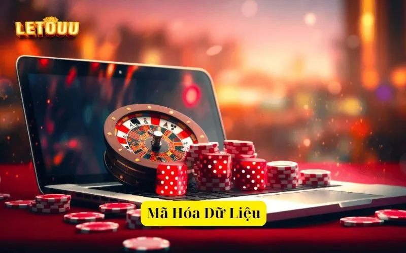 Mã Hóa Dữ Liệu