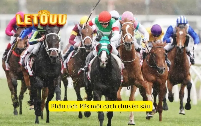 Phân tích PPs một cách chuyên sâu