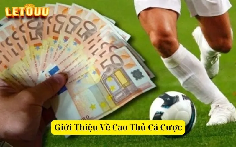 Giới Thiệu Về Cao Thủ Cá Cược