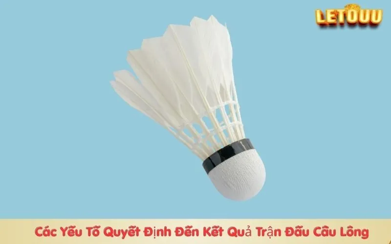 Các Yếu Tố Quyết Định Đến Kết Quả Trận Đấu Cầu Lông