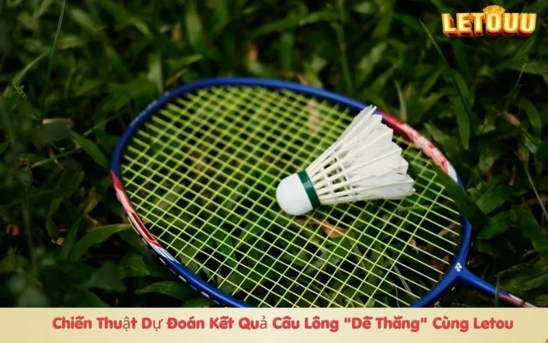 Chiến Thuật Dự Đoán Kết Quả Cầu Lông Dễ Thắng Cùng Letou