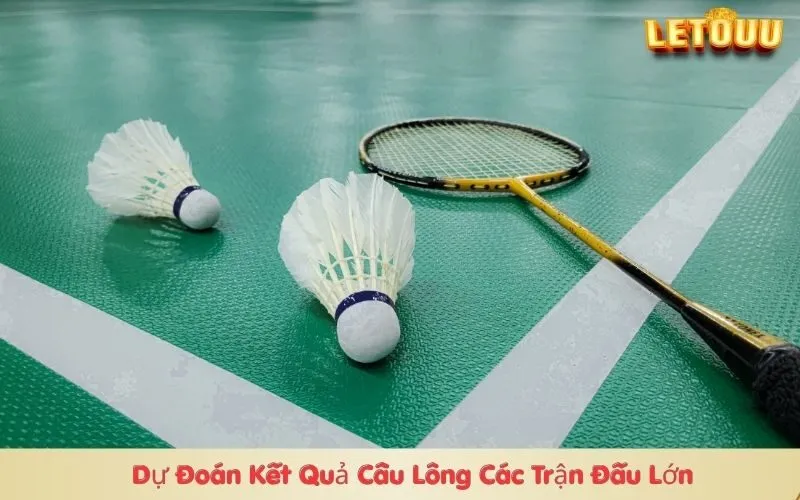 Dự Đoán Kết Quả Cầu Lông Các Trận Đấu Lớn