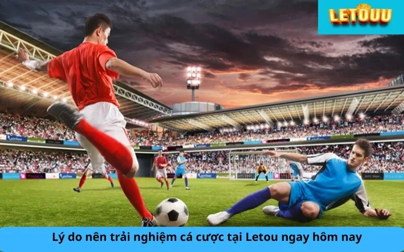 Lý do nên trải nghiệm cá cược tại Letou ngay hôm nay
